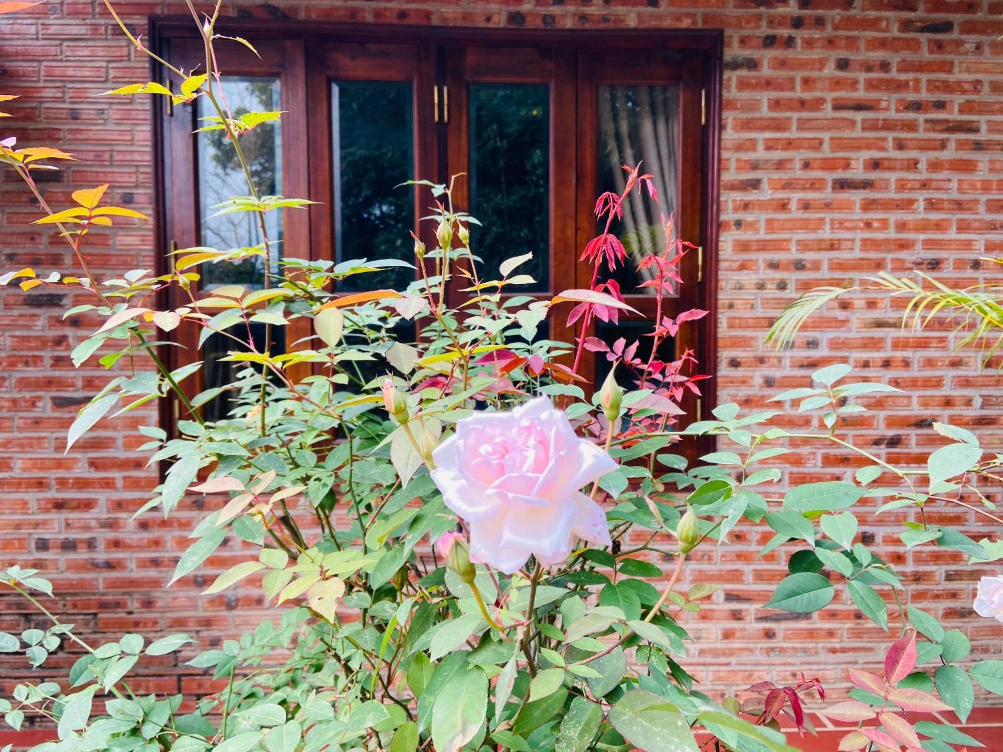 Ninh Binh Friendly Homestay Exteriér fotografie