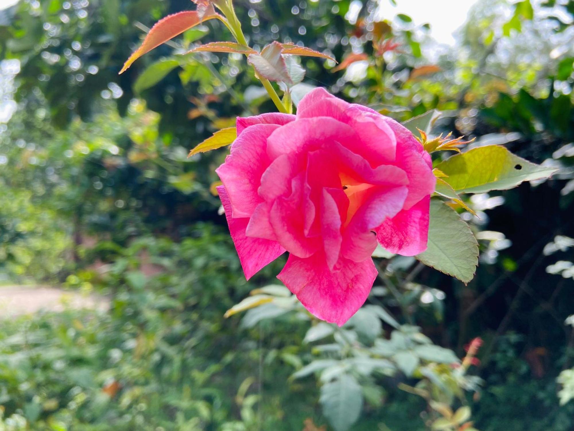 Ninh Binh Friendly Homestay Exteriér fotografie