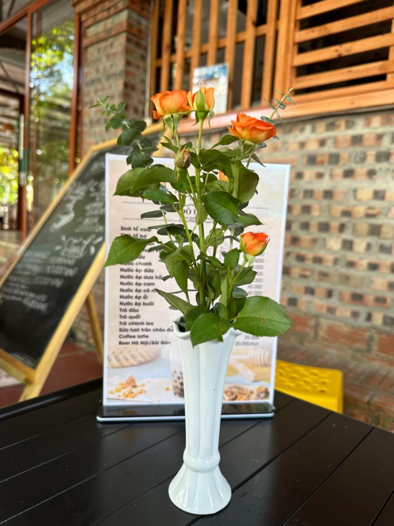 Ninh Binh Friendly Homestay Exteriér fotografie