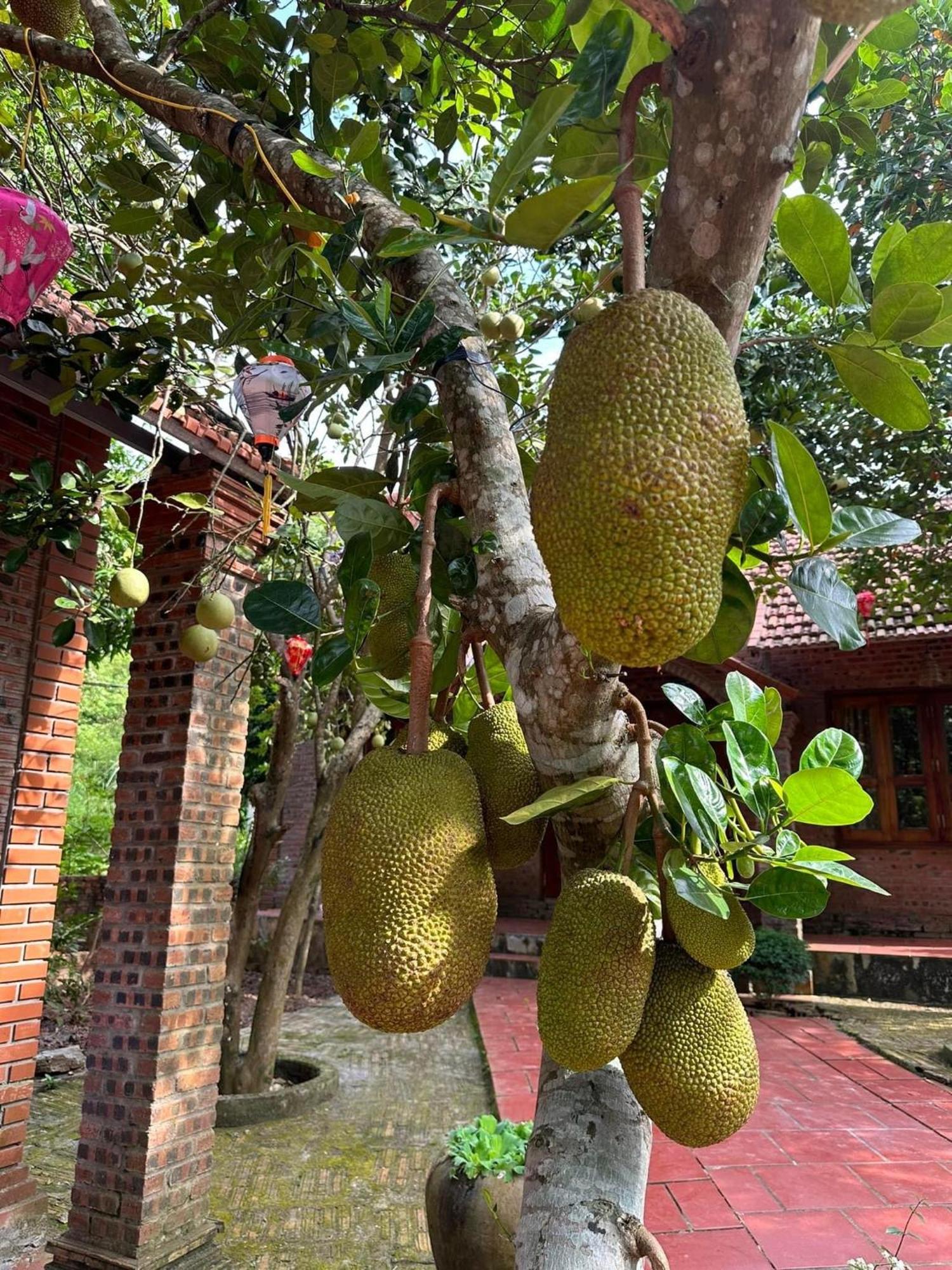 Ninh Binh Friendly Homestay Exteriér fotografie
